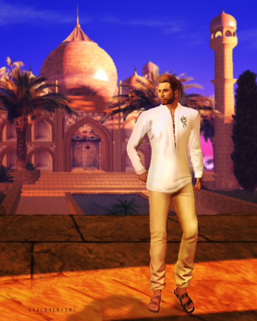 T in India full2.jpg